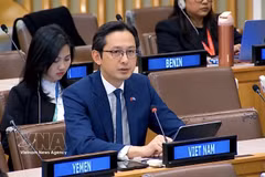 越南常驻联合国代表团团长杜雄越大使。图自越通社