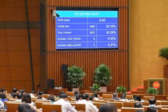 国会通过《数字技术产业法》。图自VOV