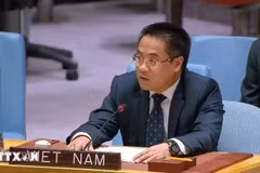 越南常驻联合国代表团副团长阮海流公使。图自越通社