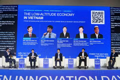 各位专家在会上提出意见。图自越通社
