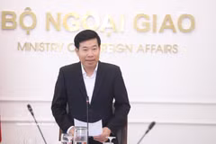 外交部常务副部长阮孟强。图自越通社