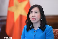 越南外交部副部长黎氏秋姮。图自越通社