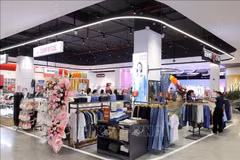附图。图自越通社