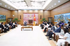 越南国会副主席阮氏清会见老越友好协会代表团。图自人民代表报