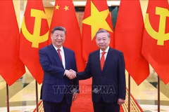 越共中央总书记苏林与共中央总书记、国家主席习近平。图自越通社