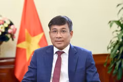 越南外交部常务副部长阮明宇。图自外交部