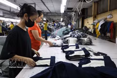 胡志明市永禄乡出口服装加工厂的工人正在作业。图自越通社