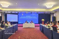 研讨会现场。图自越通社