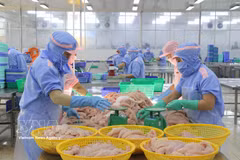 附图。图自越通社