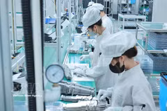 附图。图自越通社