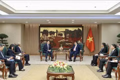 越南政府总理范明政会见世界知识产权组织总干事邓鸿森。图自越通社