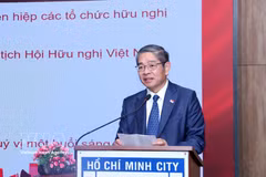 民间外交推动越新关系发展