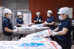 越南造纸企业推进流程标准化以满足美国市场需求。图自越通社