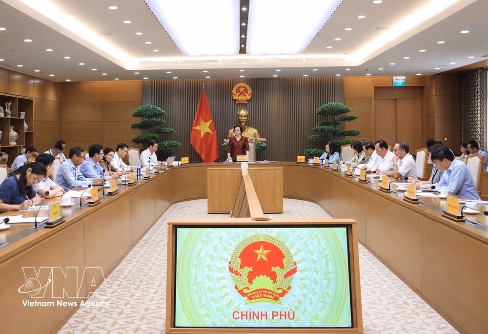 vnanet-potal-pho-thu-tuong-pham-thi-thanh-tra-chu-tri-hoi-nghi-uy-ban-quoc-gia-ve-nguoi-cao-tuoi-viet-nam-8959820.jpg