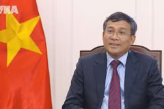 越南国会主席陈青敏即将访华并共同主持越中立法机构联合委员会第二次会议
