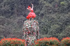 四季花开的宁平省——令人沉醉的自然风光