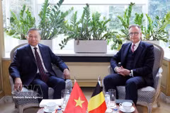 越共中央总书记、国家主席苏林与比利时首相巴尔特·德·韦弗举行会谈