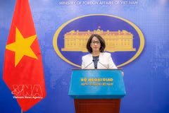 越南外交部发出声音：越南一贯主张禁止一切形式的强迫劳动