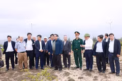 范明政：越南政府将为各公司集团创造便利条件