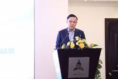 胡志明市贸易投资促进中心副主任黎英黄在会上发表讲话。图自越通社
