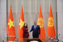 越南国家副主席武氏映春会见吉尔吉斯斯坦总统萨德尔·扎帕罗夫。图自越通社