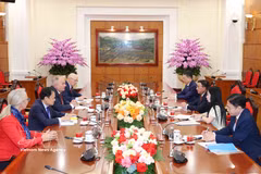 越共中央书记处常务书记陈锦秀会见匈牙利工人党代表团。图自越通社