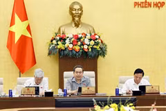 国会主席陈青敏在会议上发表讲话。图自越通社