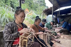 水葫芦编织业帮助改善乂安安那山区民众生活。图自越通社