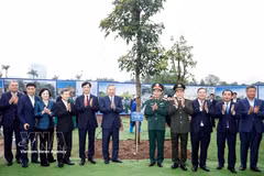 越共中央总书记苏林出席“世世代代铭记胡志明主席功勋”植树节启动仪式。图自越通社