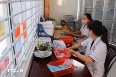 同塔省一卫生院医务人员在医疗保险电子系统上处理前来就诊患者的信息。图自越通社