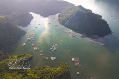 和平水电站库区（富寿省）湖水碧绿清澈、景观雄伟，成为游客不容错过的目的地。图自越通社