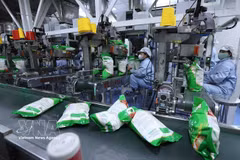 截至2026年3月中旬，越南大米出口量约达174万吨，同比增长2.3%。图自越通社