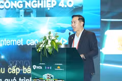 来自公安部网络安全与高科技犯罪预防局的阮廷杜诗上校上专题研讨会上发言。图自越通社