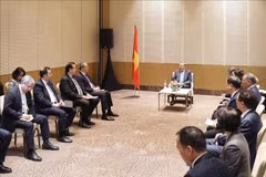 越共中央总书记苏林会见阿塞拜疆若干模范企业领导。图自越通社