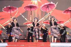 2024年赫蒙族芦笙狂欢节暨野樱花节开幕式上的一个文艺节目。图自越通社
