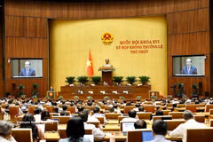 第十六届国会第一次非常规会议。图自越通社