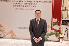 中国浙江工业大学区域国别研究院执行院长，越南研究中心主任、教授、博士成汉平。图自越通社