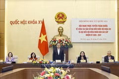 越南国会主席陈青敏主持召开全国选举工作部署会议。图自越通社