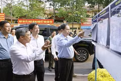 陈青敏在芹苴市宁桥坊检查国会代表及各级人民议会代表选举前期准备工作。图自越通社