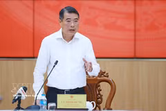 越南政府总理黎明兴要求芹苴市注重研究特殊机制以推动全面发展。图自越通社