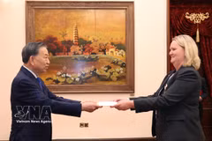 2026年10月3日，在河内，越共中央总书记、国家主席苏林接受丹麦王国驻越大使莉娜·甘德勒瑟·汉森递交国书。图自越通社