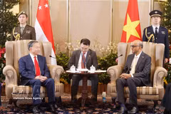 越共中央总书记、国家主席苏林与新加坡总统尚达曼举行会谈。图自越通社