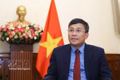 越共中央委员、外交部常务副部长阮明宇。图自越通社