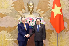 越南国会主席陈青敏与希腊议会第一副议长普拉基奥塔基斯。图自越通社