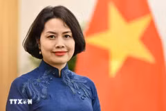 越南驻芬兰兼驻爱沙尼亚特命全权大使范氏清平。图自越通社