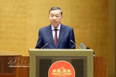 越共中央总书记、国家主席苏林在会上发表讲话。图自越通社