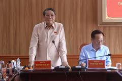 越南国会副主席、国家选举委员会委员阮德海在工作会议上发言。图自越通社