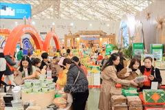 2026年春季博览会：春节期间丰富多彩、方便快捷的购物天堂。图自越通社