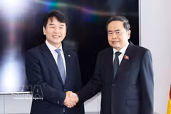 越南国会主席陈青敏在首尔与韩越友好议员小组主席文振硕。图自越通社