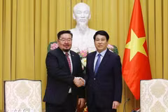 越南国家主席梁强（右）会见蒙古国总统办公室主任赞丹沙塔尔。图自越通社
